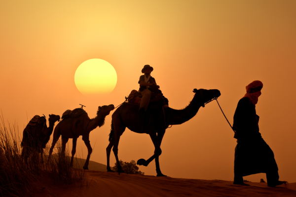 3A08B9C6E-0E98-F000-87FA-DDE77B4EB225.png